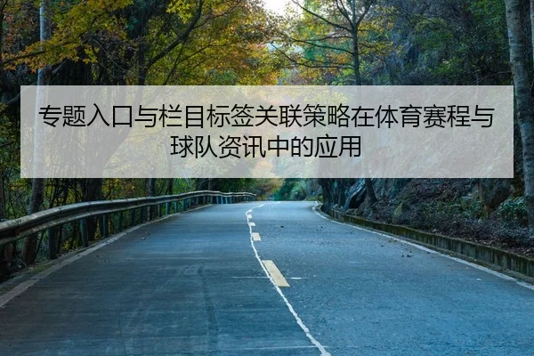 专题入口与栏目标签关联策略在体育赛程与球队资讯中的应用